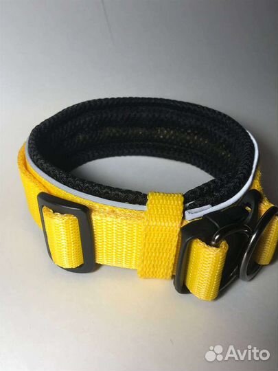 Ошейники на заказ для собак