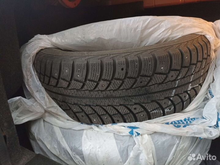 Gislaved Nord Frost 5 195/65 R15