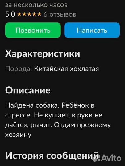 Нашёлся пёсик
