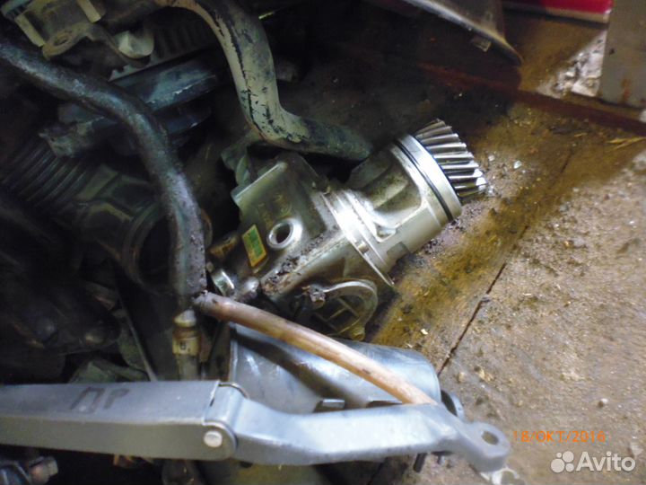 Хонда црв 1 мозги