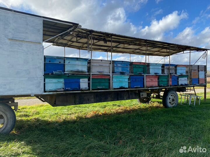 Прицеп с пчёлами