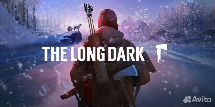 The Long Dark PS4 (PS5)