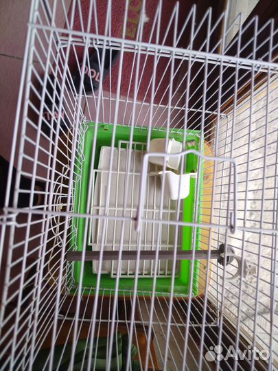 Клетка для волнистого попугая
