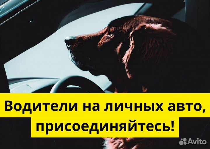 Ищем водителя на своем авто для яндексgo