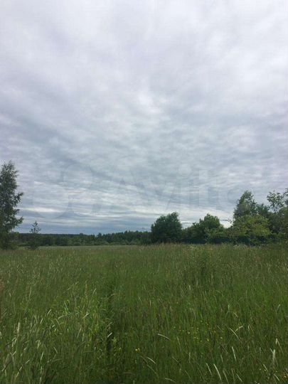 Участок 15 сот. (ИЖС)