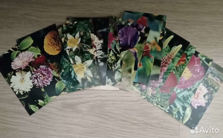 Комплекты открыток СССР с фото цветов и грибов