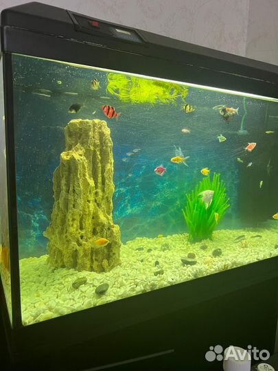 Аквариум с тумбой 180 литров
