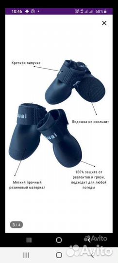 Обувь для собак