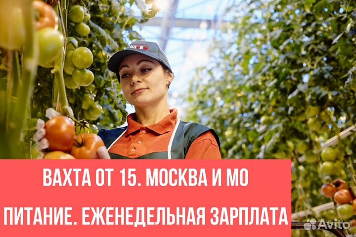 Маркировщики(цы).вахта от 15. Питание