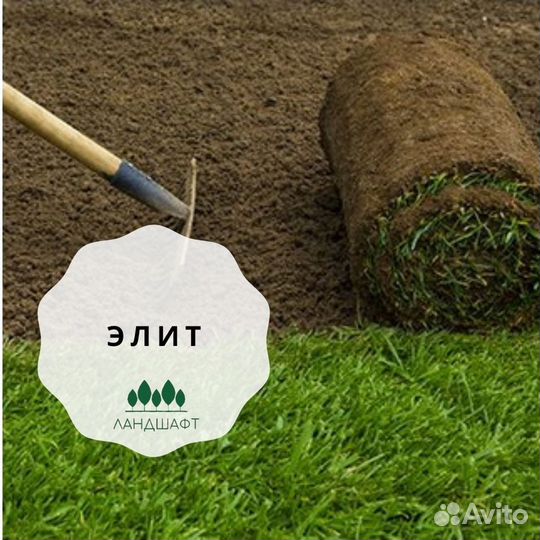 Элитный живой газон в рулонах в Железнодорожном