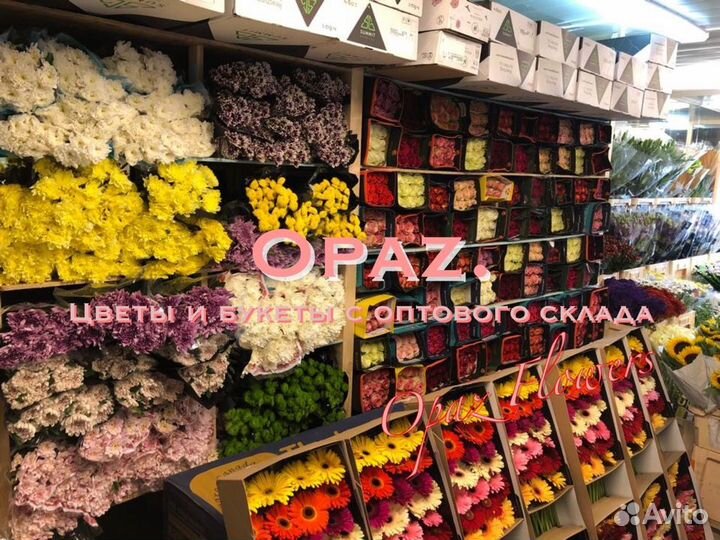 Розы оптом от 50шт