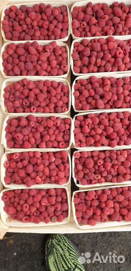 Малина вкусная сладкая с бесплатной доставкой