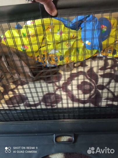 Шторка багажника бмв е39 туринг