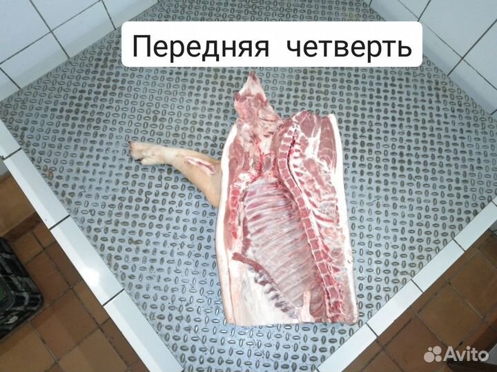 Всегда свежее мясо (свинина)