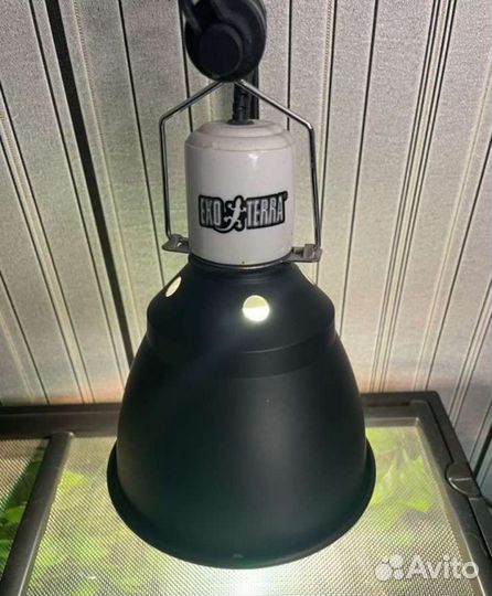 Террариум с наполнением