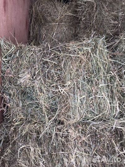Сено в брикетах