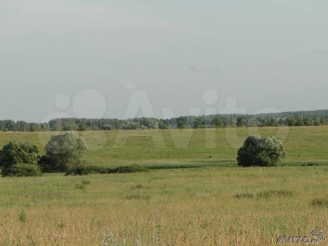 Участок 24 га (СНТ, ДНП)