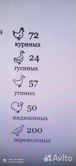 Инкубатор Блиц 72 цифровой