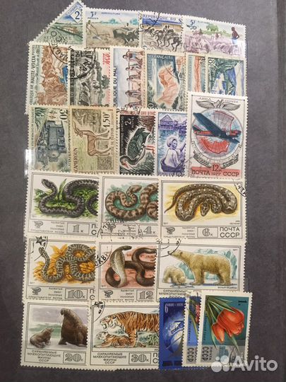 Альбом 20 страниц полный марок