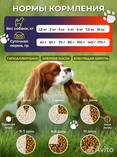 Корм для взрослых собак мелких пород, 5 кг