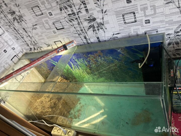Аквариум