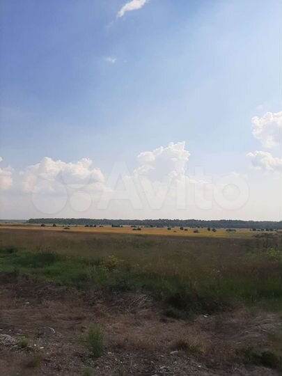 Участок 280 га (СНТ, ДНП)