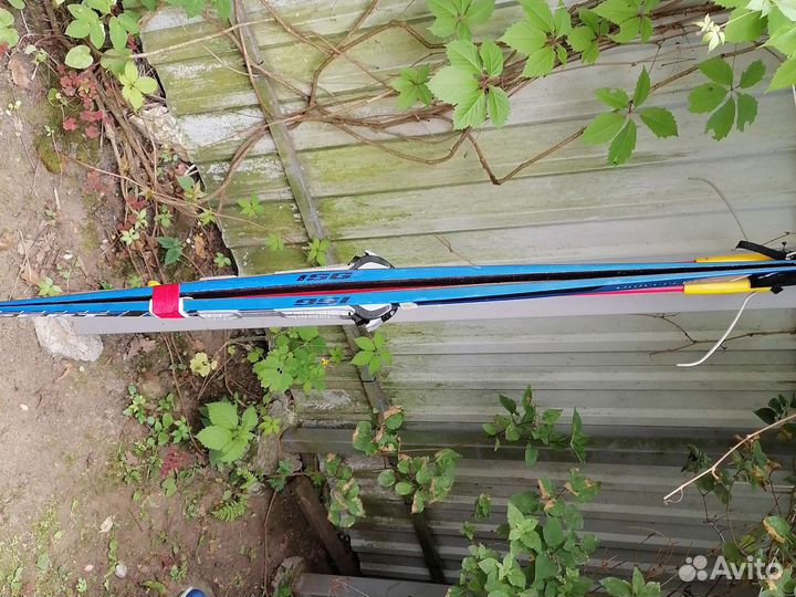 Лыжи беговые