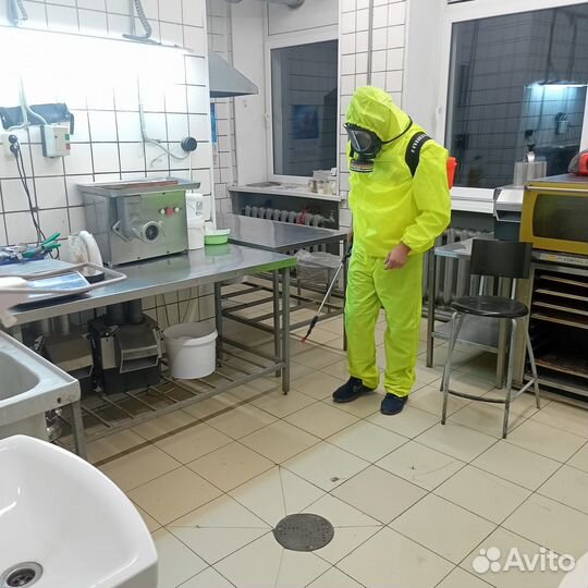 Уничтожение клопов, тараканов