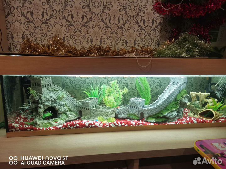 Аквариум