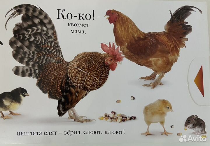 Мэтью Ван Флит 