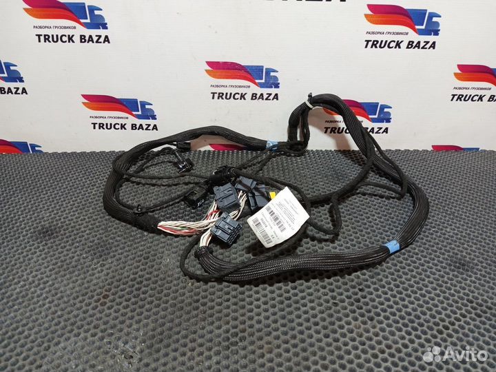 5490407124020 Проводка двери правой камаз 5490