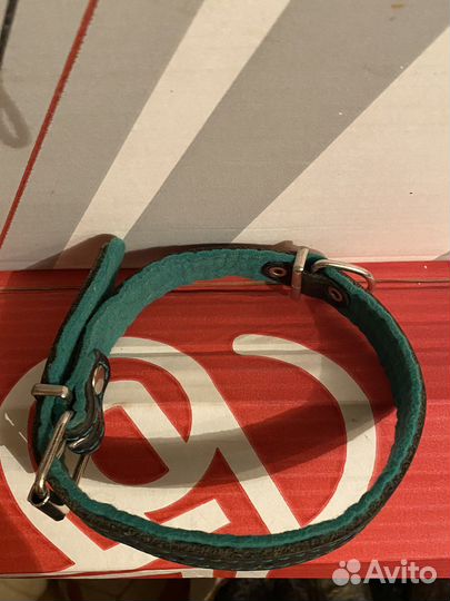 Для дома и дачитовары для животных