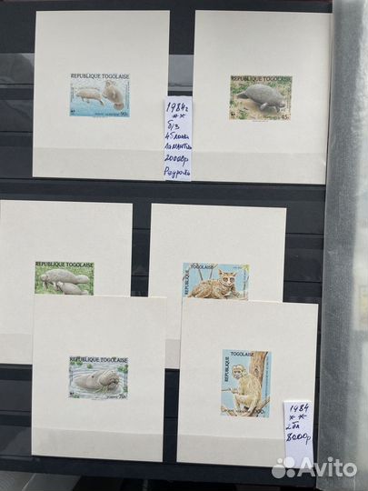 Флора фауна