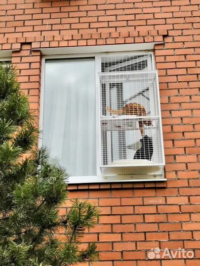 Балкон для кошек