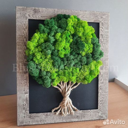 Панно из мха. Озеленение интерьера