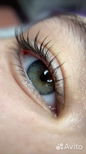 Ламинирование ресниц, брови