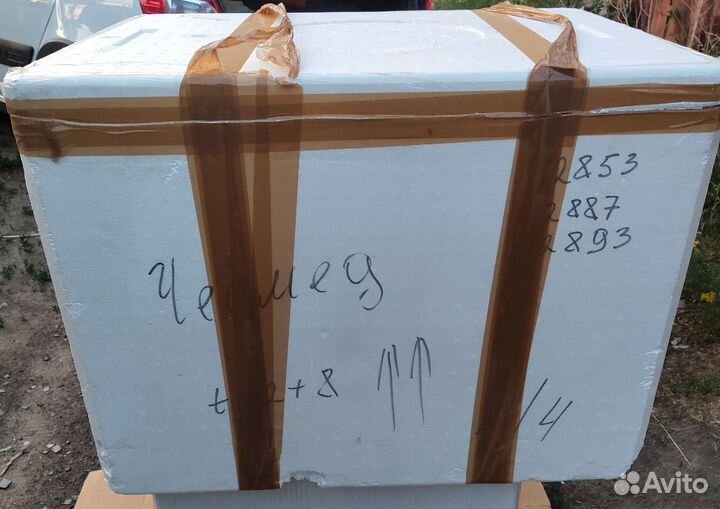 Термоконтейнер ТК-100 (100 л)