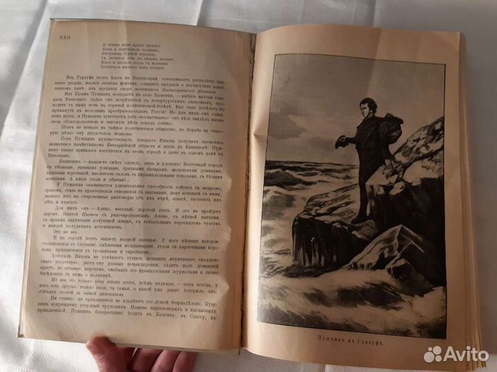 Дореволюционное собрание сочинений Пушкина