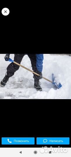 Спил деревьев. Уборка участка