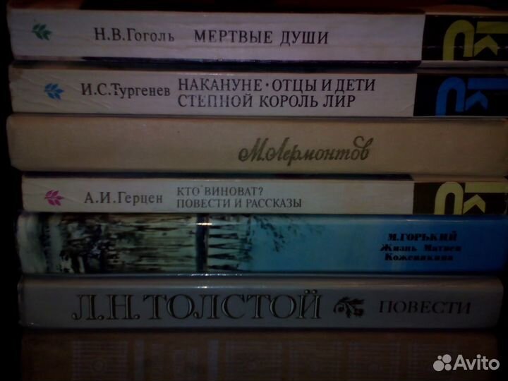 Литература школьной программы