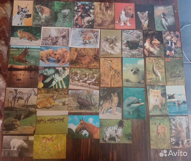 Открытки СССР чистые