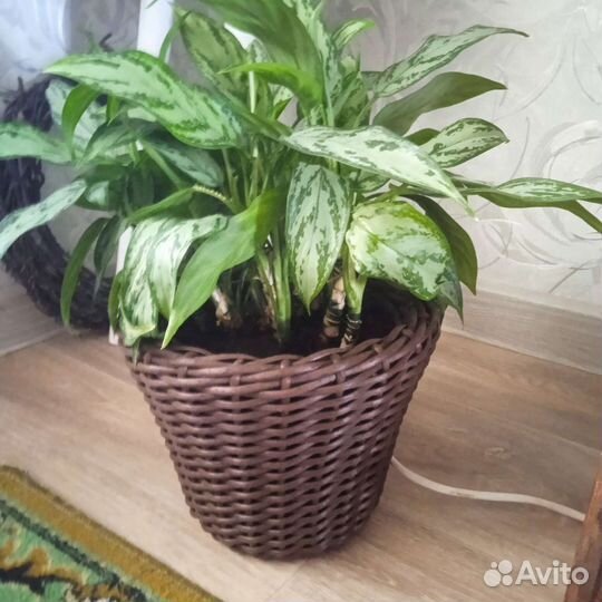 Кашпо из искусственного ротанга