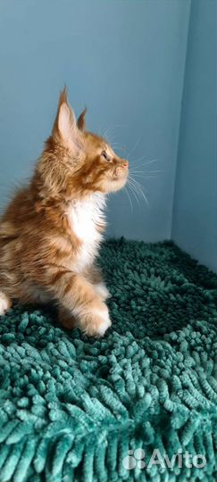 Яркое солнышко