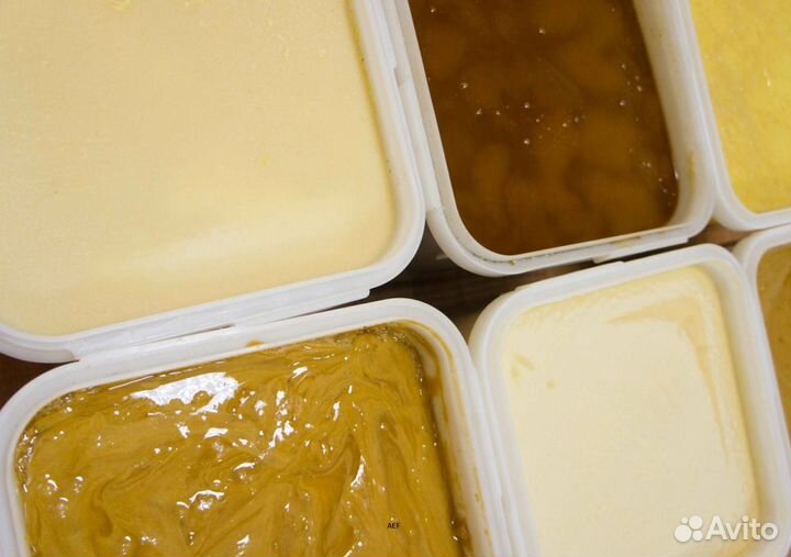 2024 Мёд натуральный алтайский опт