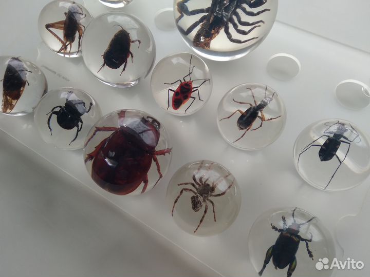 Чудеса природы коллекция шаров в акриле