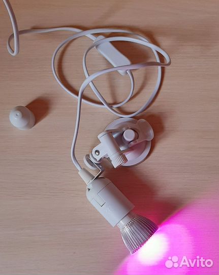 Фитолампа для растений