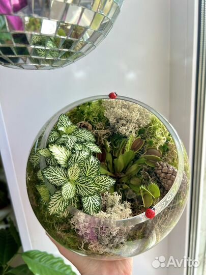 Хищное растение