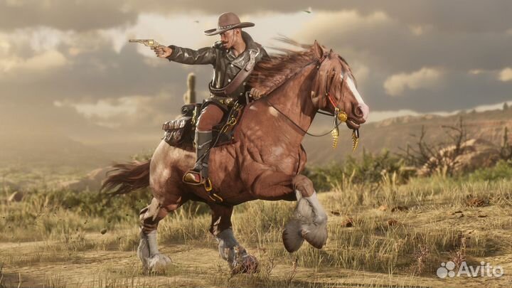 Red Dead Online (Steam & Rockstar)