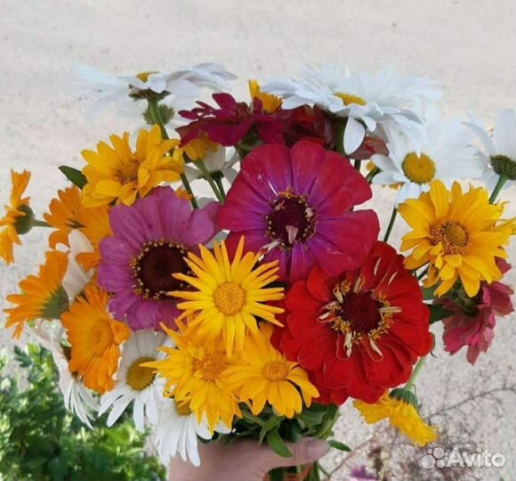 Шикарные Букеты из живых цветов