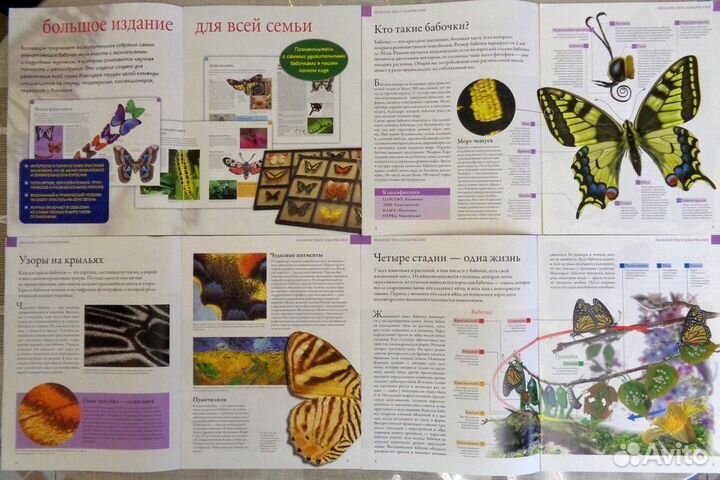 Журналы Деагостини Бабочки (коллекция)